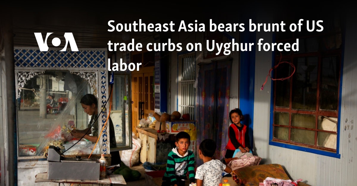 Southeast Asia bears the brunt of US trade restrictions on Uyghur forced labor