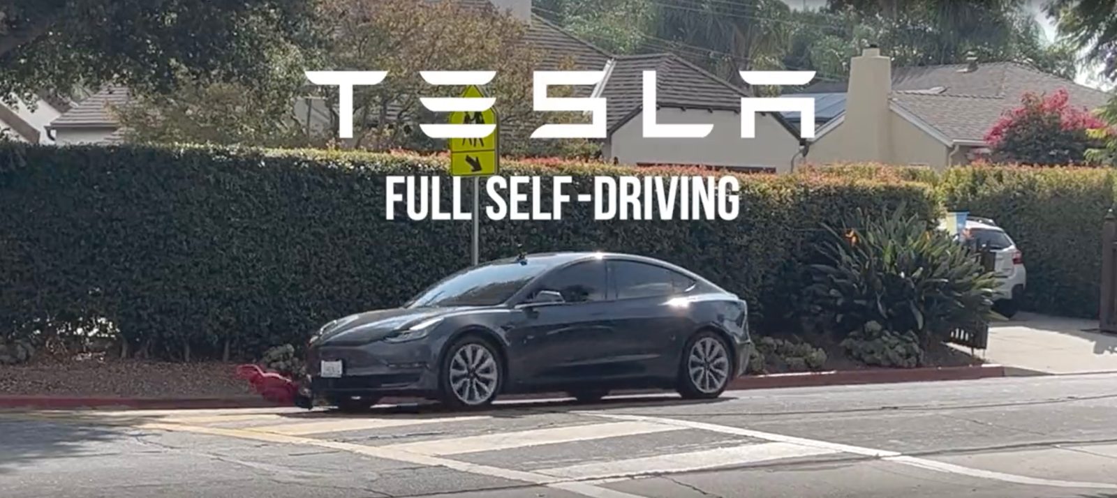 Tesla Full Self-Driving Beta Slander Campaign