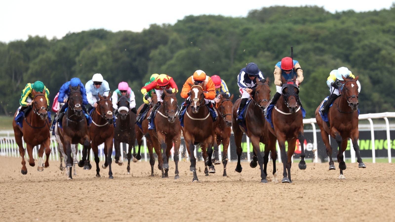 Newcastle hosts action on the all-weather today