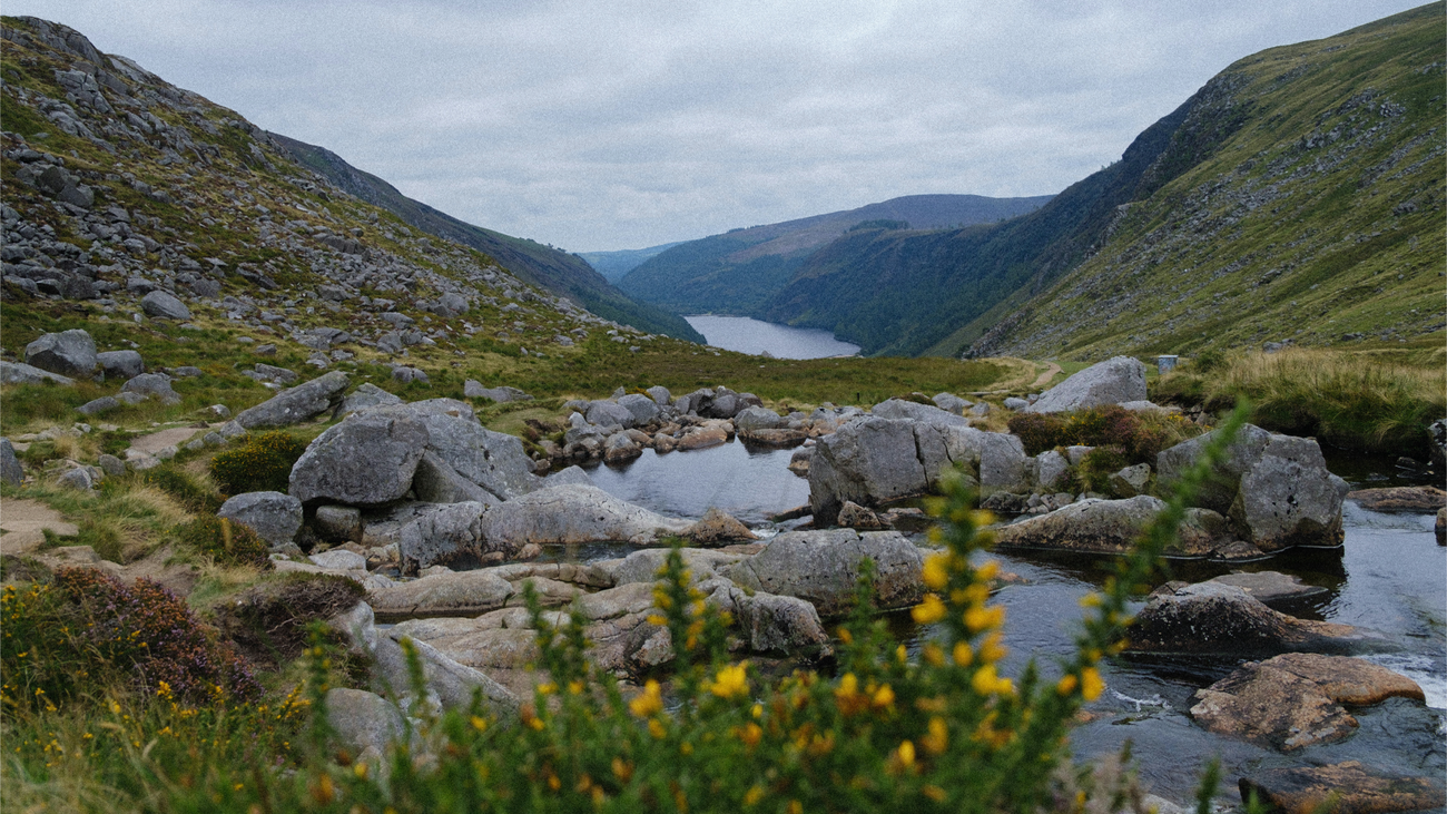 Google's 2026 Water Stewardship Portfolio