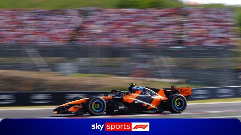 Watch the moment Lando Norris claims victory at the Hungarian Grand Prix!